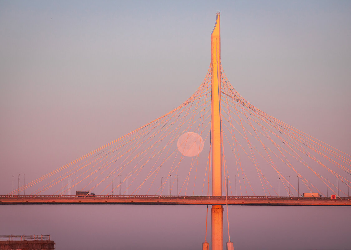 **** - Елизавета .