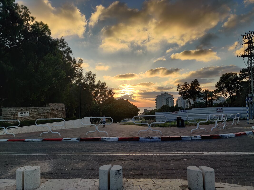 Начало парка, а там уже видно море! - Светлана Хращевская Начало парка, а там уже видно море! - Светлана Хращевская