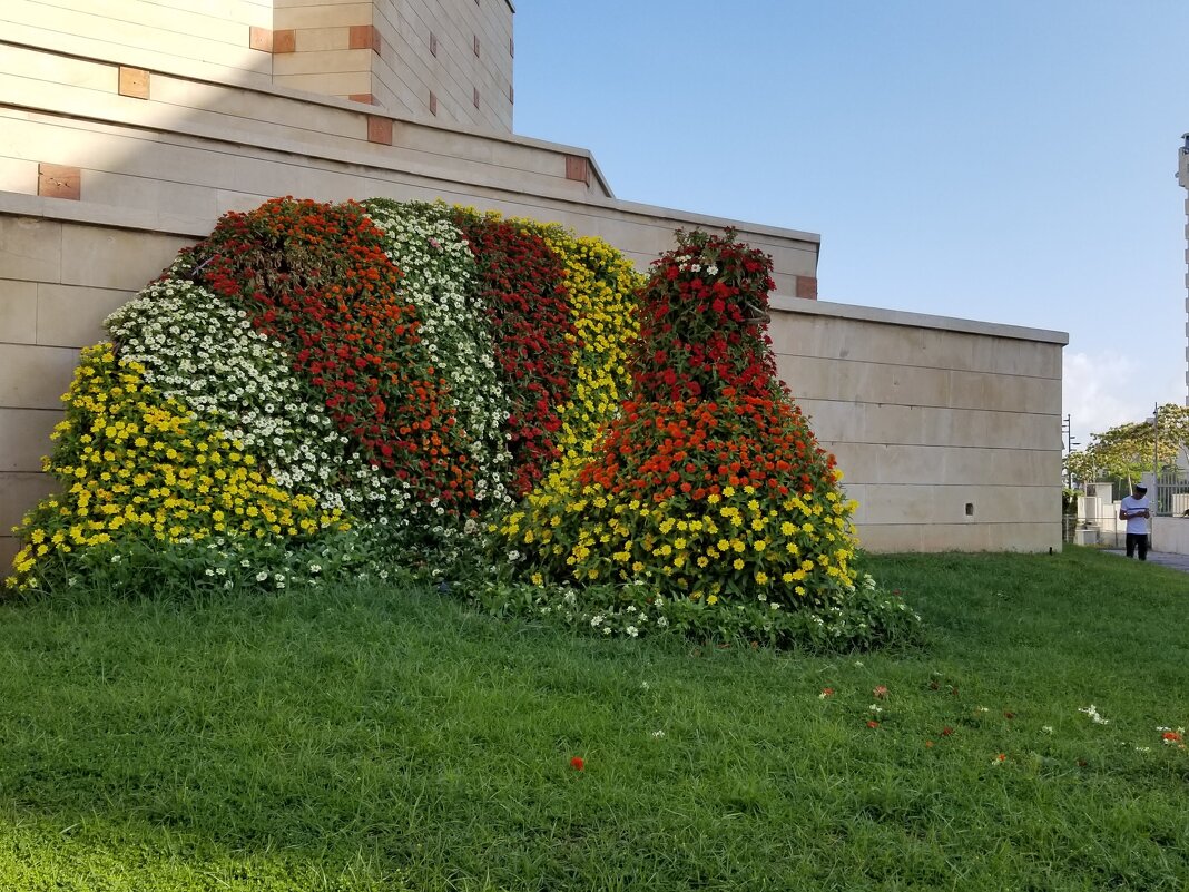 Одна из цветочных скульптур, украшающих город - Светлана Хращевская Одна из цветочных скульптур, украшающих город - Светлана Хращевская