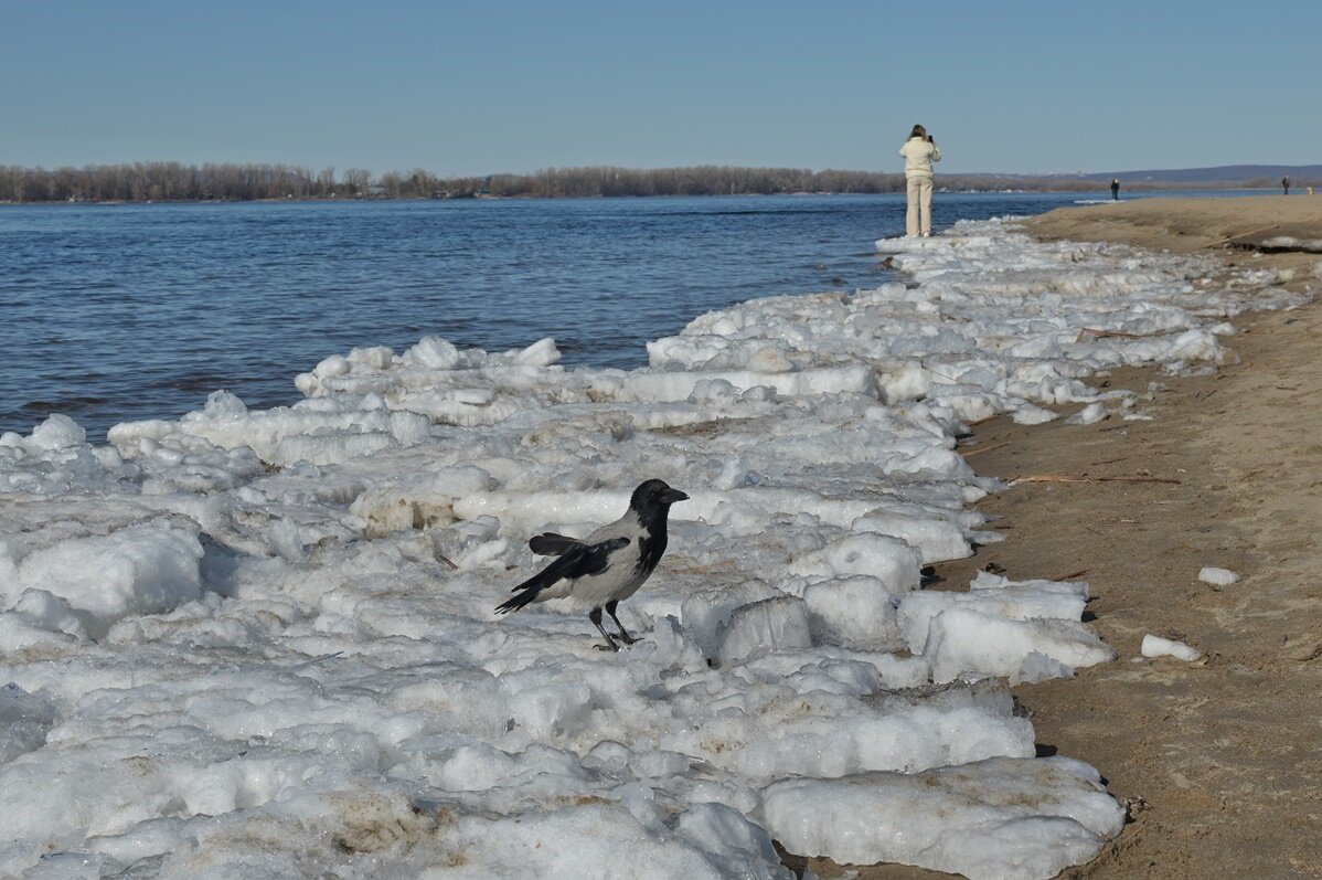 Что ни говори, но весной зима легче переносится... - Алекс Б-в Что ни говори, но весной зима легче переносится... - Алекс Б-в