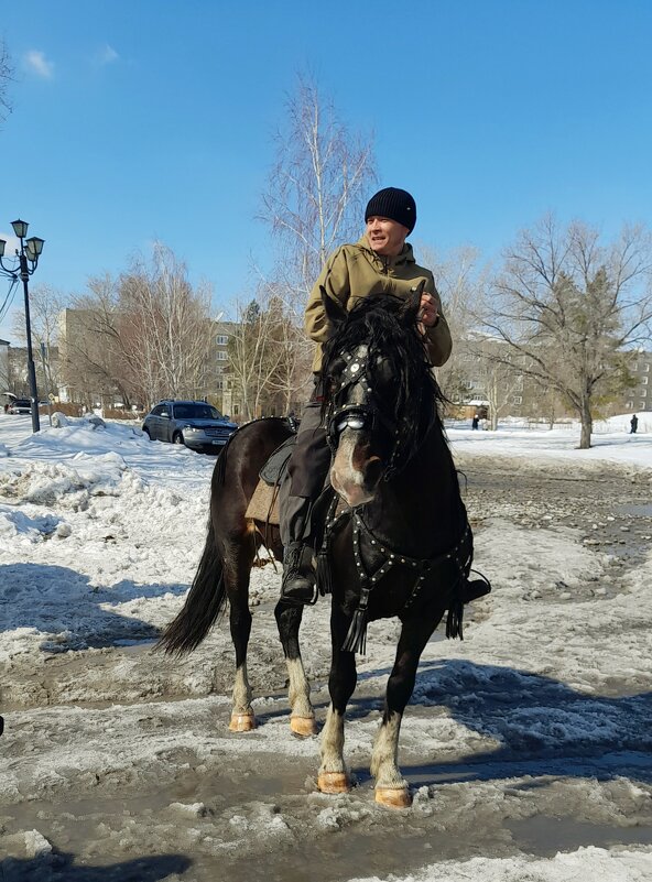 Жеребец "Букет " и джигит . - Мила Бовкун
