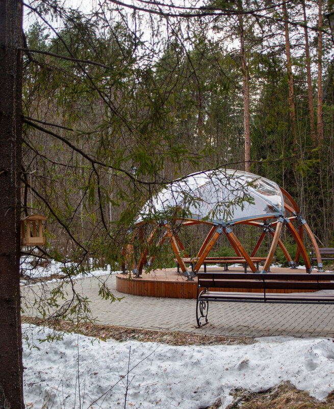 Парк - Светлана Мишенёва Парк - Светлана Мишенёва