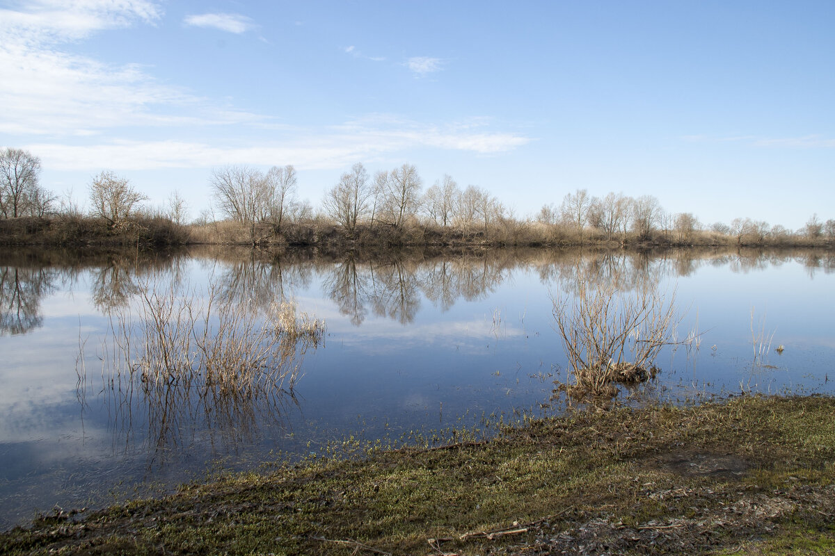 Весенние воды 2 - Елена Пономарева