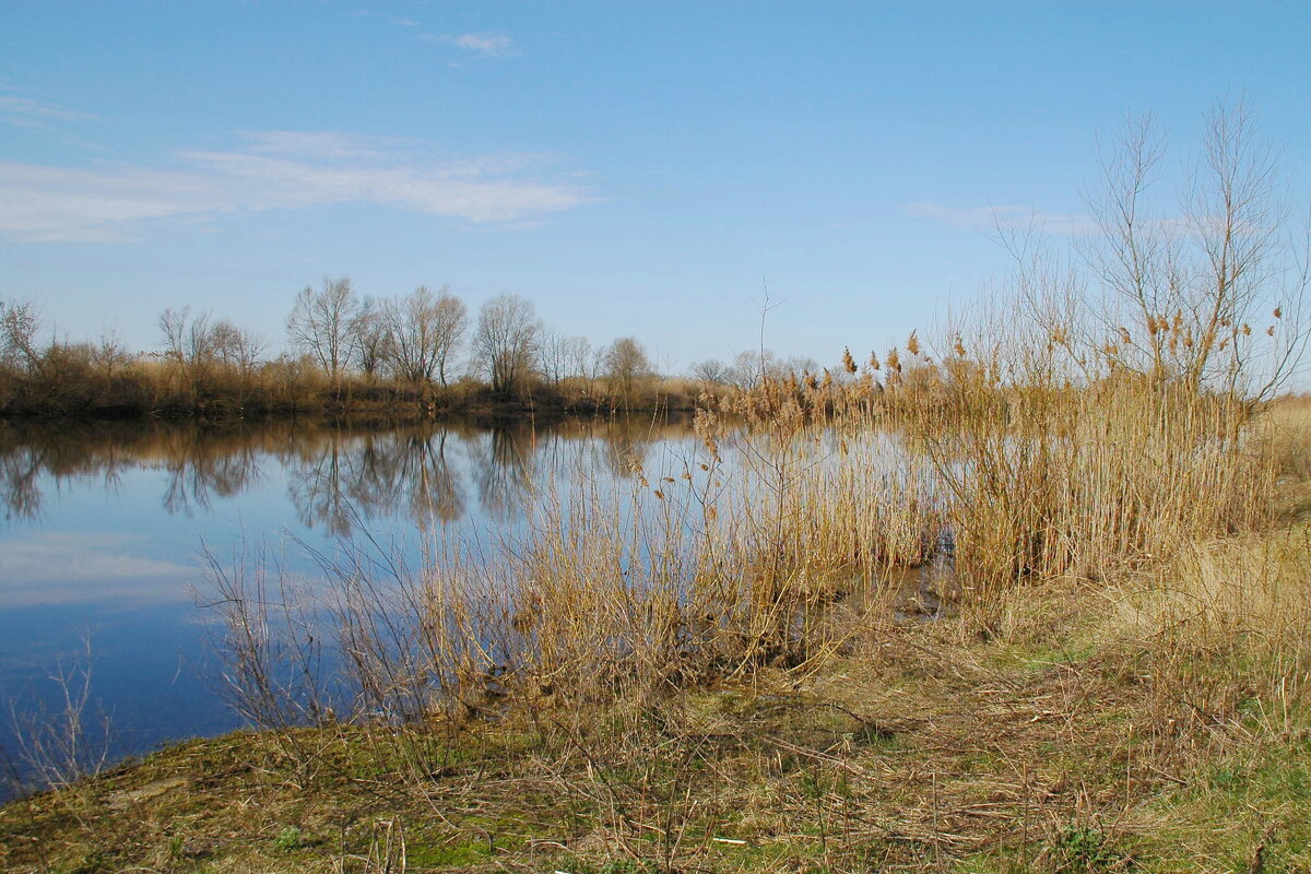Весенние воды 4 - Елена Пономарева