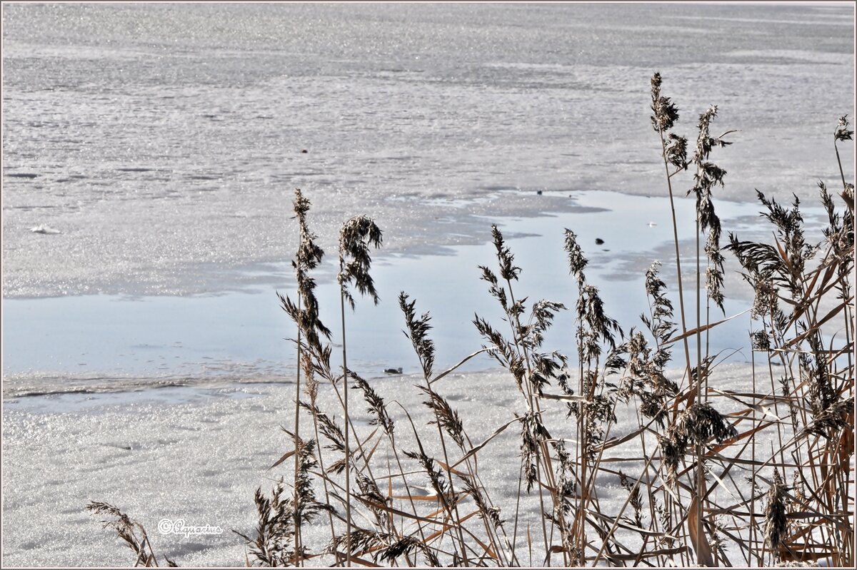 Апрель... - Aquarius - Сергей