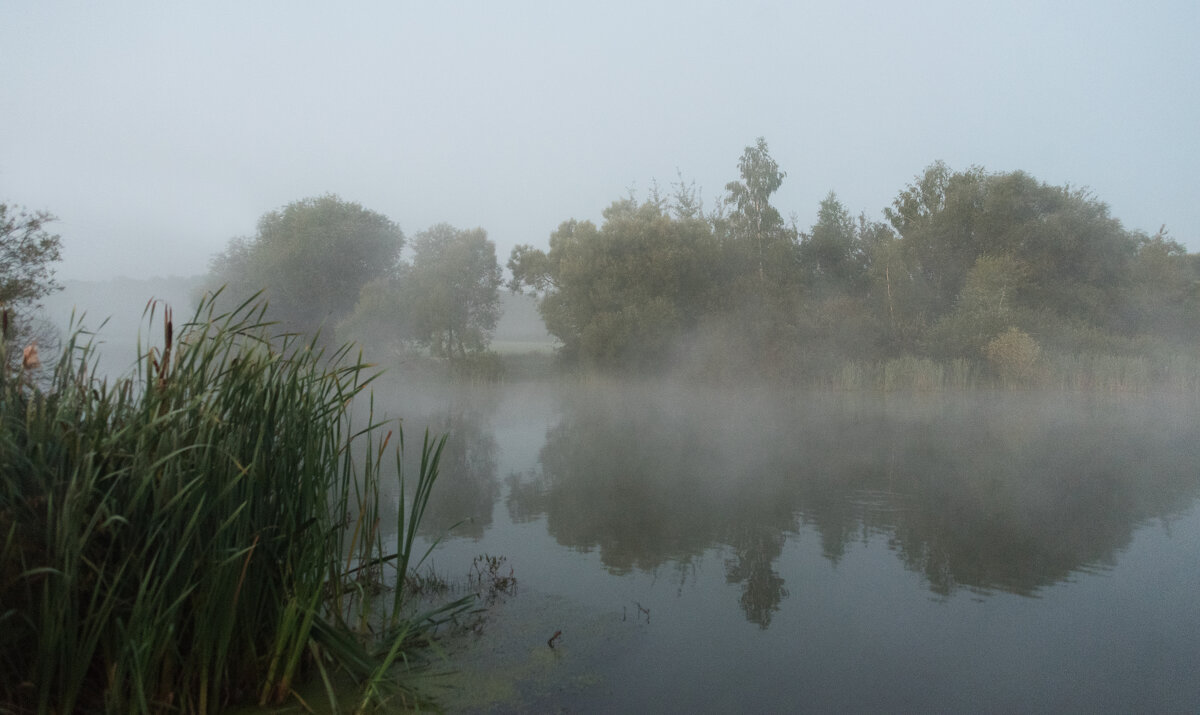 Туманное утро. - Владимир Безбородов