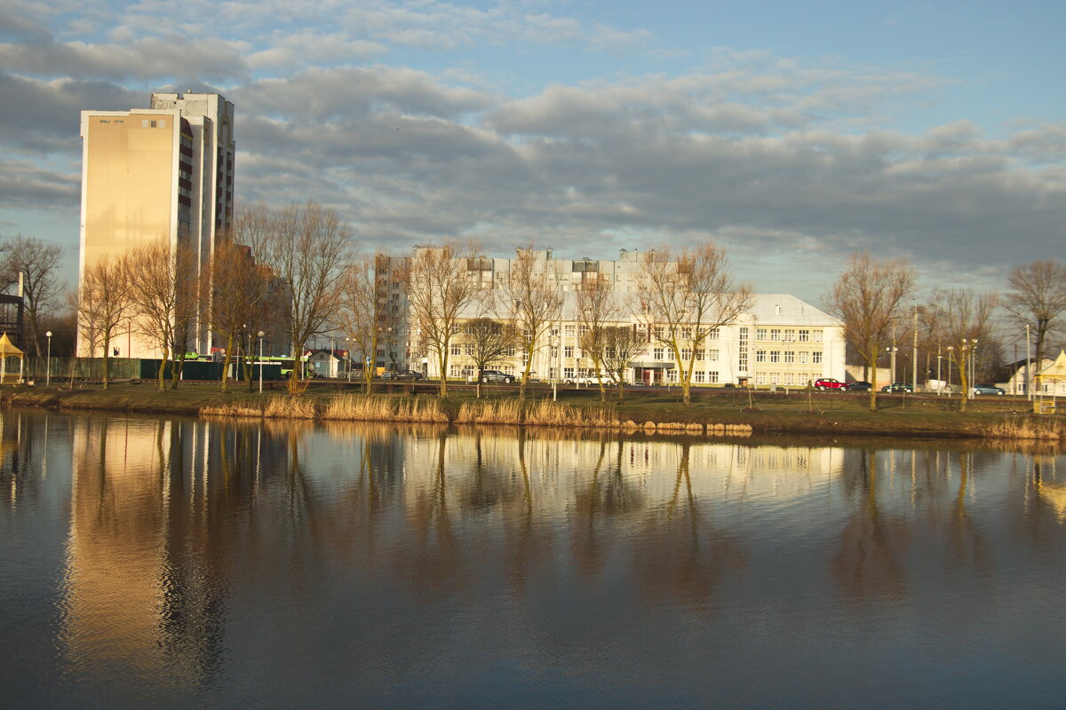 Отражения - Владимир Зырянов