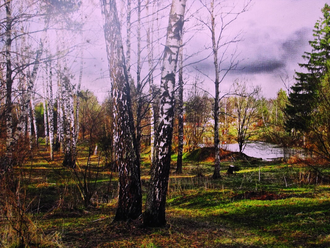 Апрельская красота - Людмила Смородинская