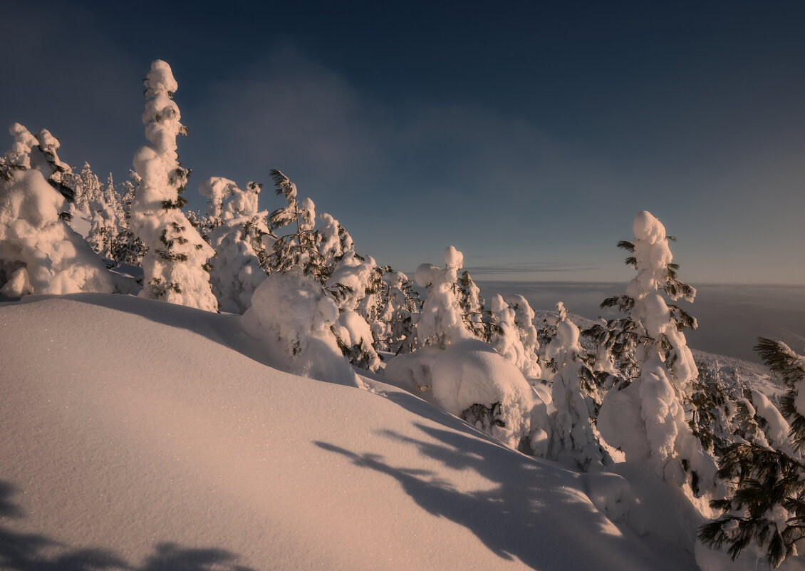 * - Александр Иванов * - Александр Иванов