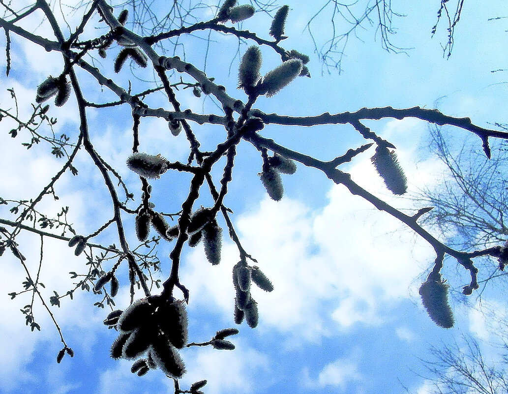 Весенняя мозаика. - Ольга Довженко Весенняя мозаика. - Ольга Довженко
