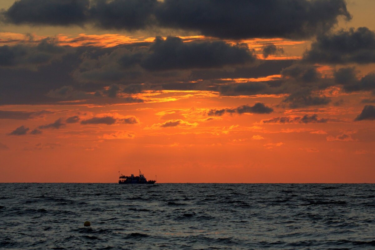 Домой - Юрий. Шмаков