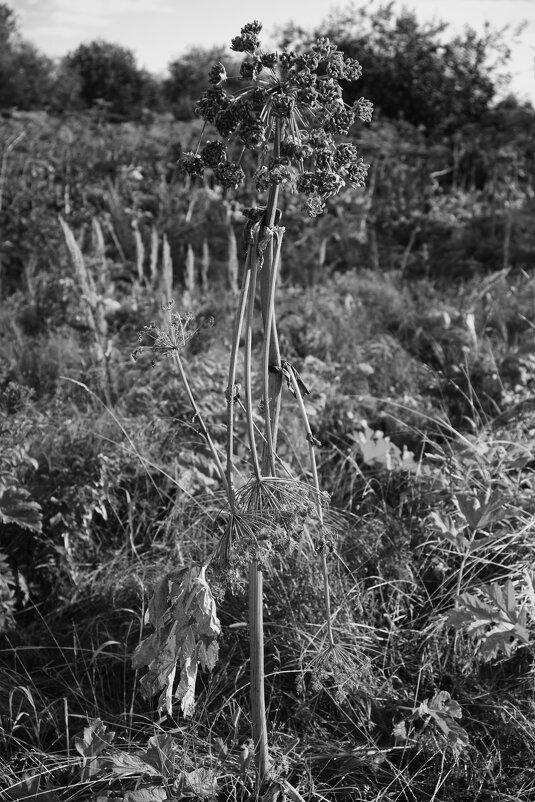 Название отсутствует - Денис Безногов