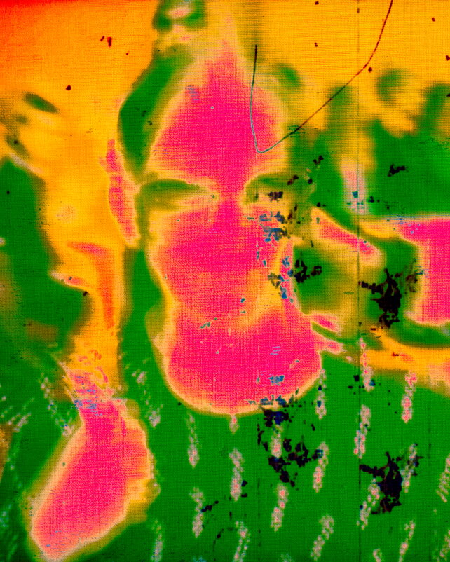 ТВ Кадры - Денис Безногов