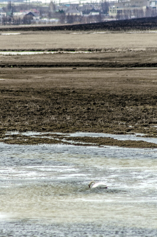 Одиночка. Подальше от людей - Андрей Щетинин Одиночка. Подальше от людей - Андрей Щетинин