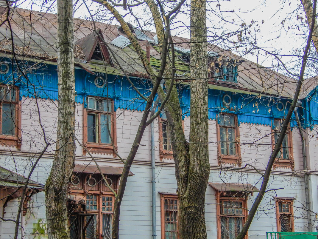 Особняк Мельникова в Волковом переулке - Сергей Лындин