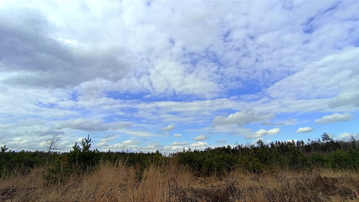 Весна - Татьяна Тюменка Весна - Татьяна Тюменка