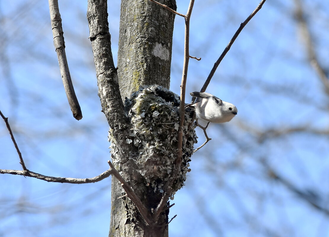 Ополовник. - Алексей . Ополовник. - Алексей .
