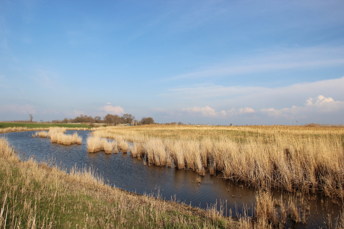 У реки. - Виктор 
