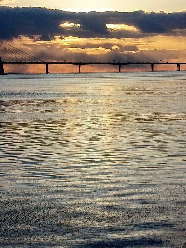 Вид на Большую Неву, Санкт-Петербург, Брусницын - Юра Светлаков Вид на Большую Неву, Санкт-Петербург, Брусницын - Юра Светлаков
