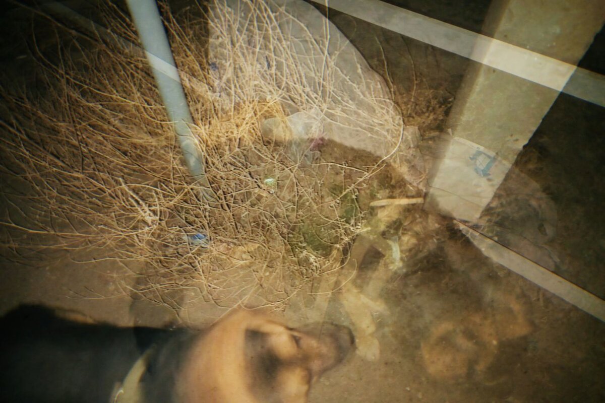 Тройная мультиэкспозиция. - Игорь Солдаткин