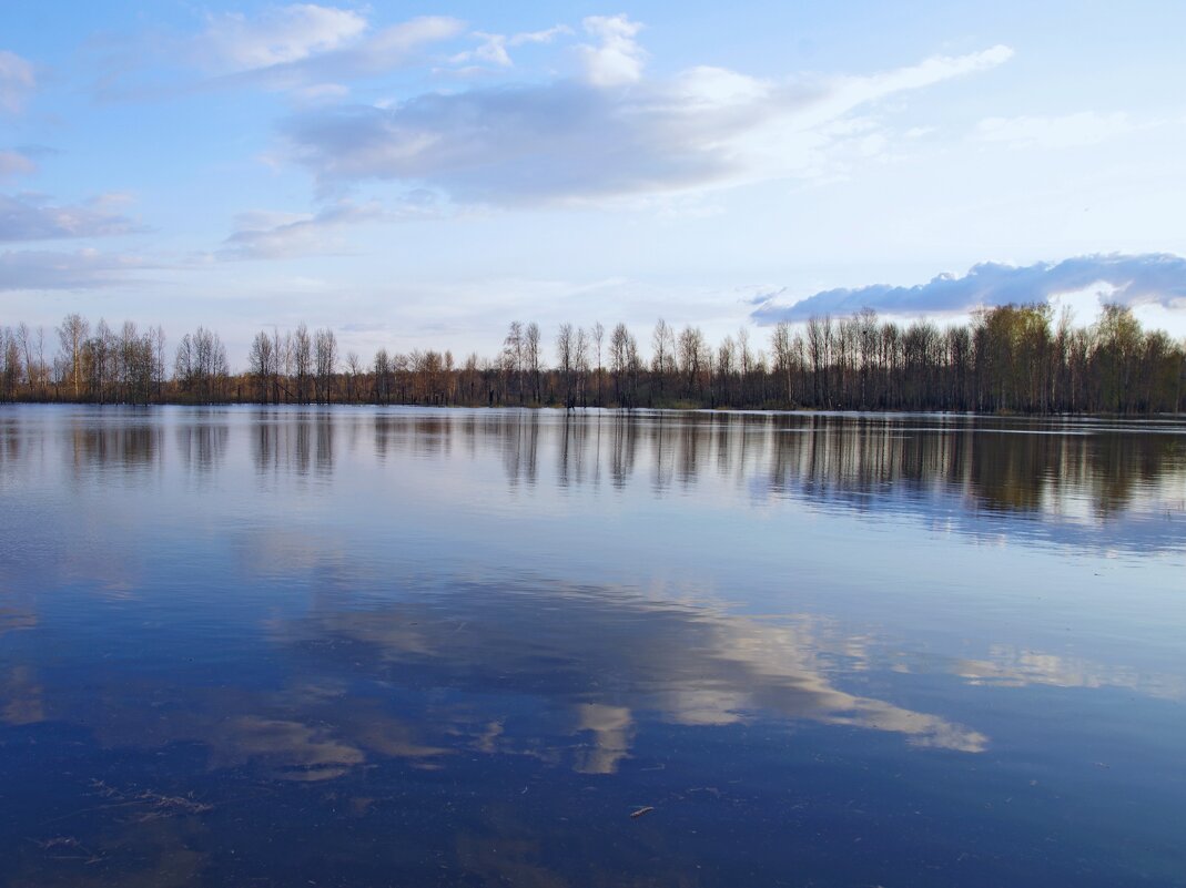 Отражение в озере - Сергей Швечков Отражение в озере - Сергей Швечков