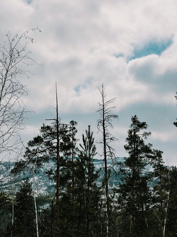 Небесные дали - Георгиевич Небесные дали - Георгиевич