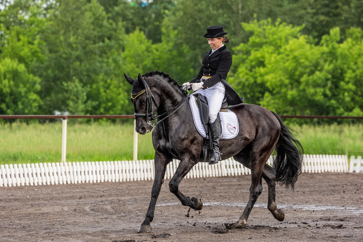 Выездка - SanSan Выездка - SanSan