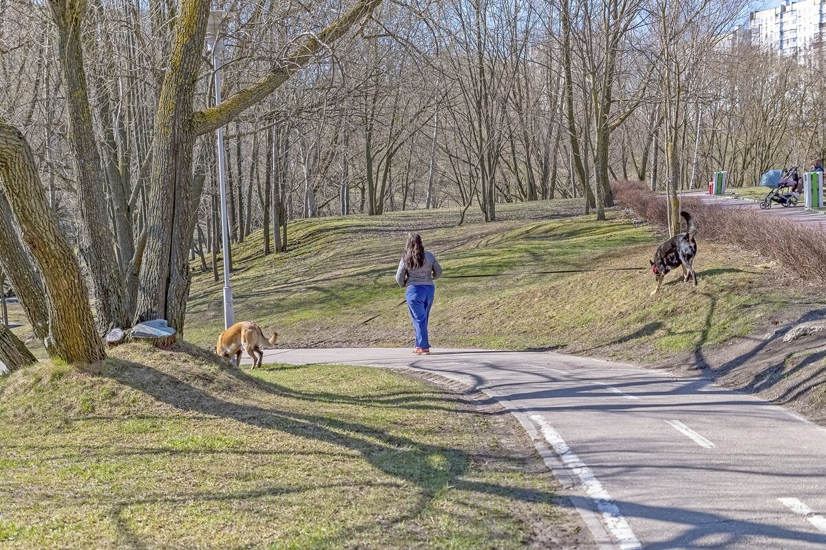Трио - Валерий Иванович Трио - Валерий Иванович