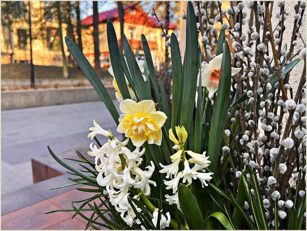 На улочках Светлогорска. - Валерия Комова На улочках Светлогорска. - Валерия Комова