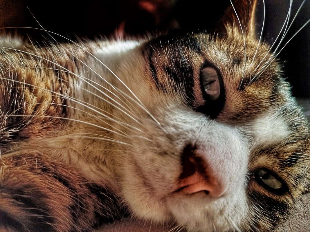 ... - ВЛАДИМИР 