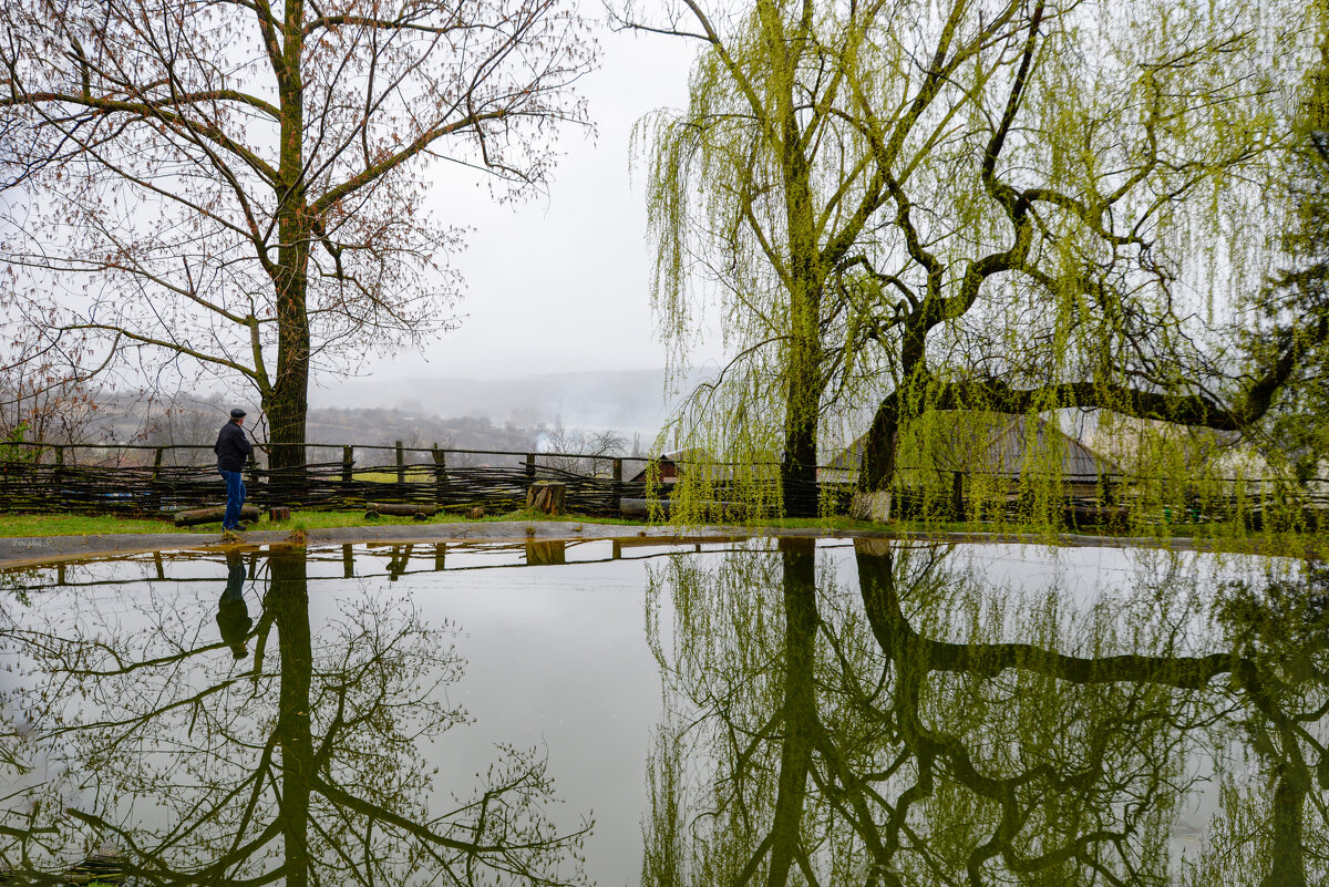 "-" - Светлана Фокша "-" - Светлана Фокша