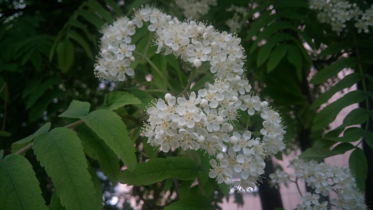 ,,, - Сергей Тимоновский