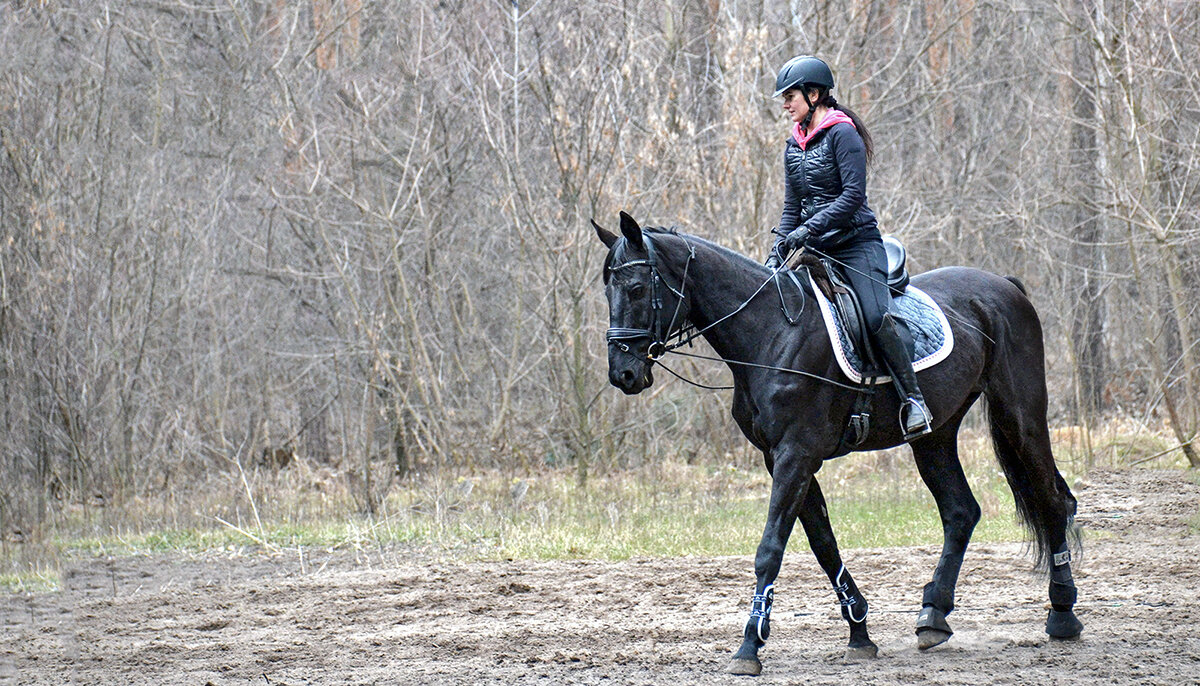 Тренеровка - Alexandеr P