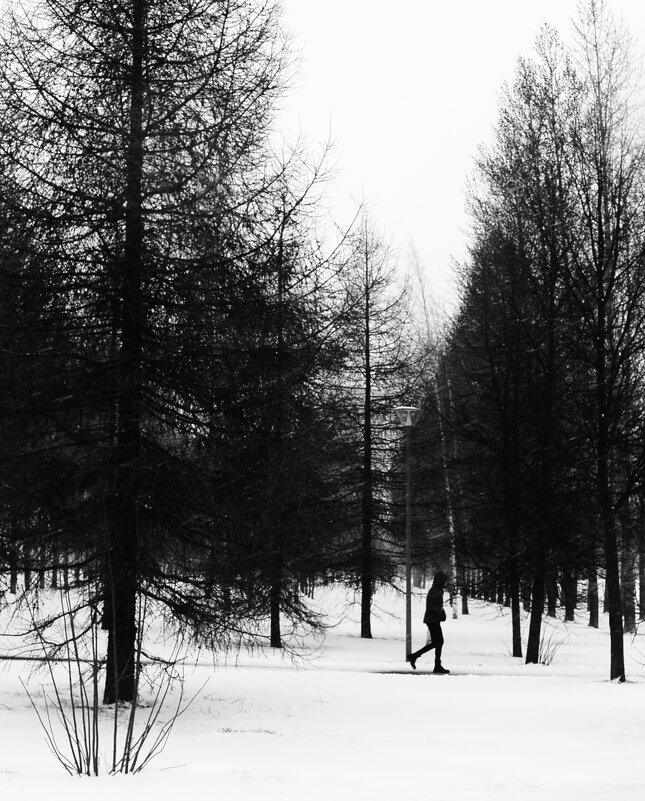 "Весеннее" настроение. - Василий Палий "Весеннее" настроение. - Василий Палий