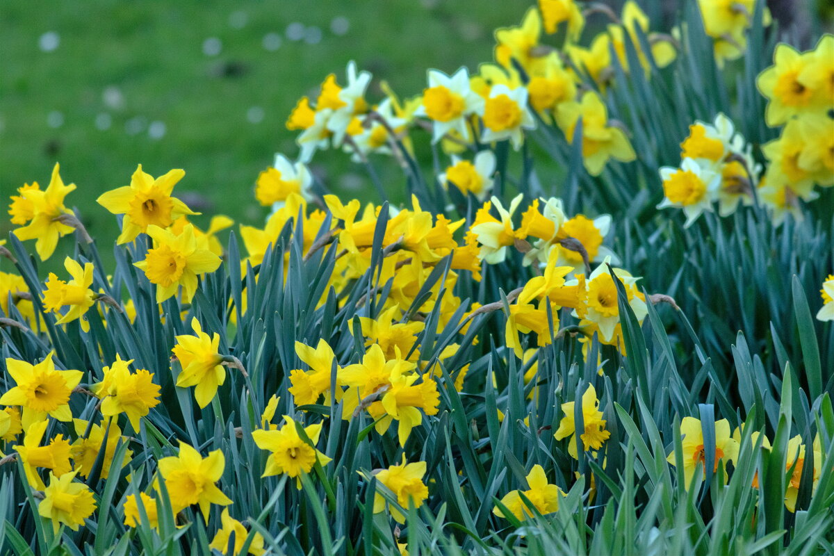 -- - vladimir -- - vladimir