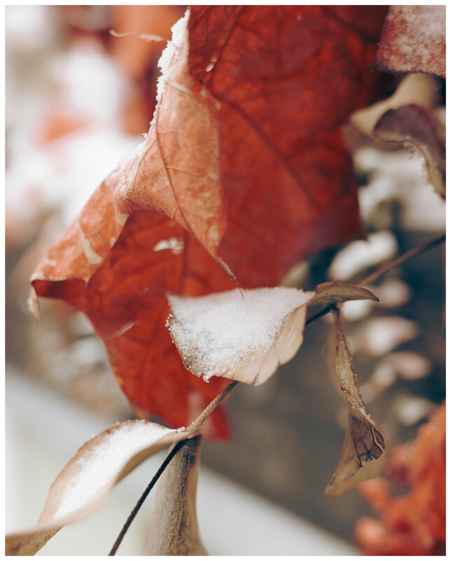 *** - someone somewere