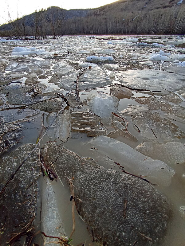 Лед тронулся - Павел Трунцев