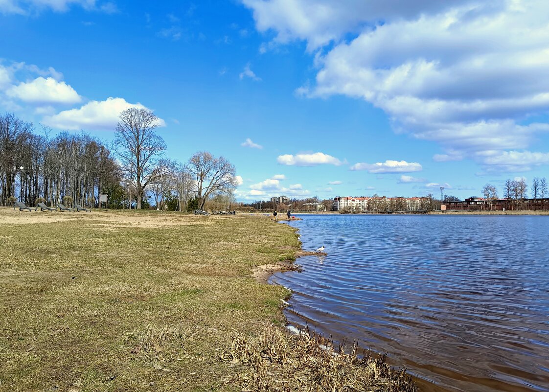 Апрель... - Мария Васильева