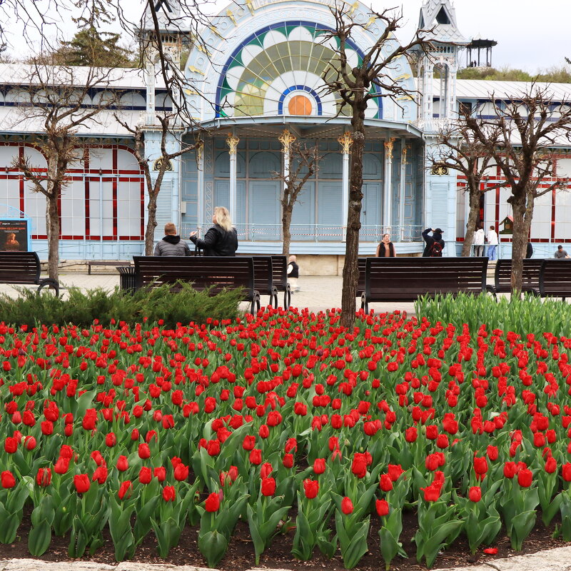 *** - Игорь Kуленко