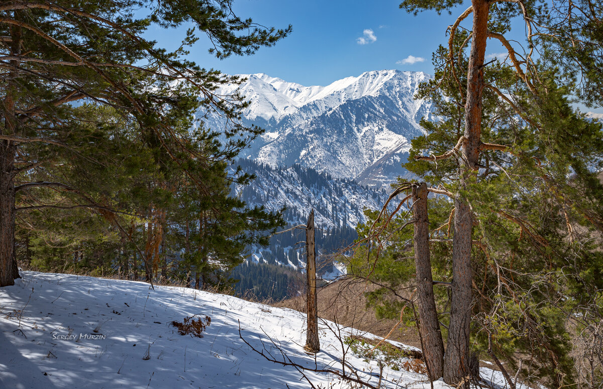 *** - Сергей Мурзин *** - Сергей Мурзин