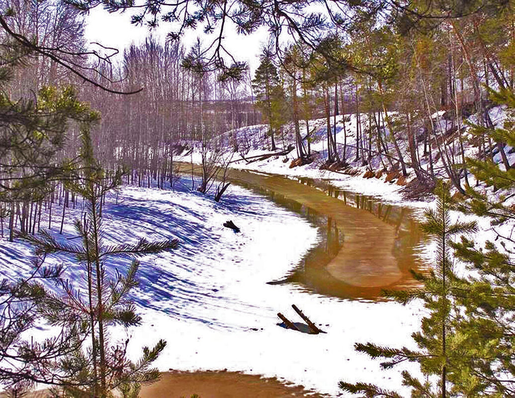 Апрель...Протока Коим- приток Оби. - Владимир 