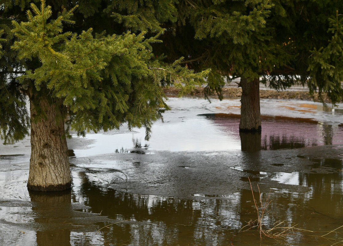 Весенняя утопица - Сергей Шаврин