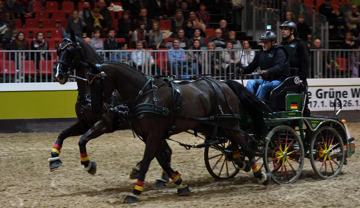 *** - Dan Berli *** - Dan Berli