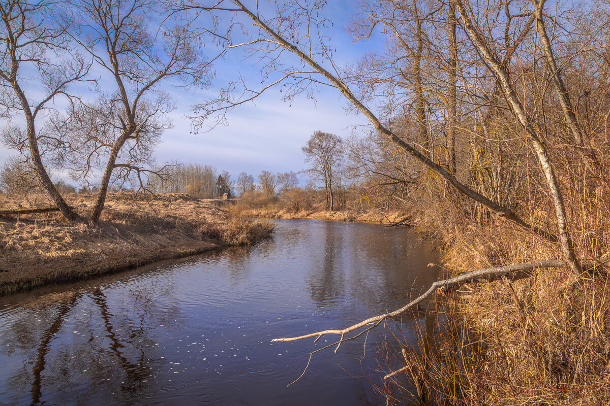 **** - Елизавета .