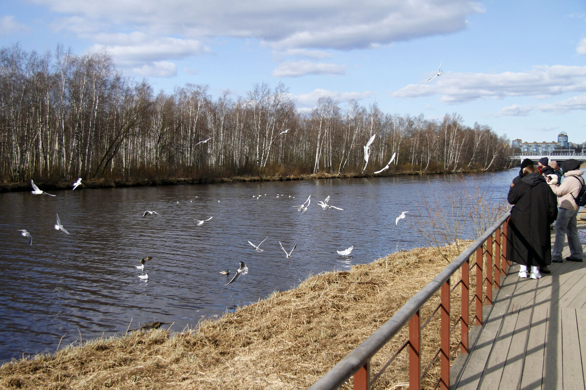 Весна на Глухарке - Евгений Шафер