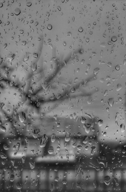 Снова осень. - Владимир Мисик Снова осень. - Владимир Мисик