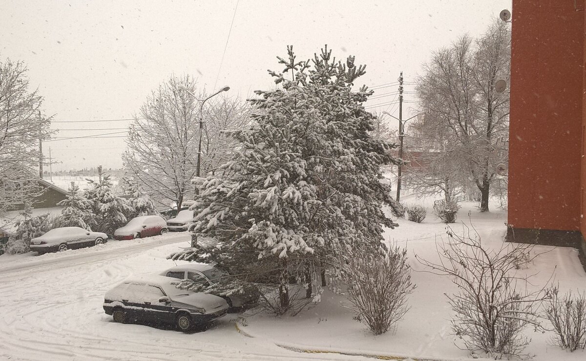 В с.Заворово - Елена Семигина В с.Заворово - Елена Семигина