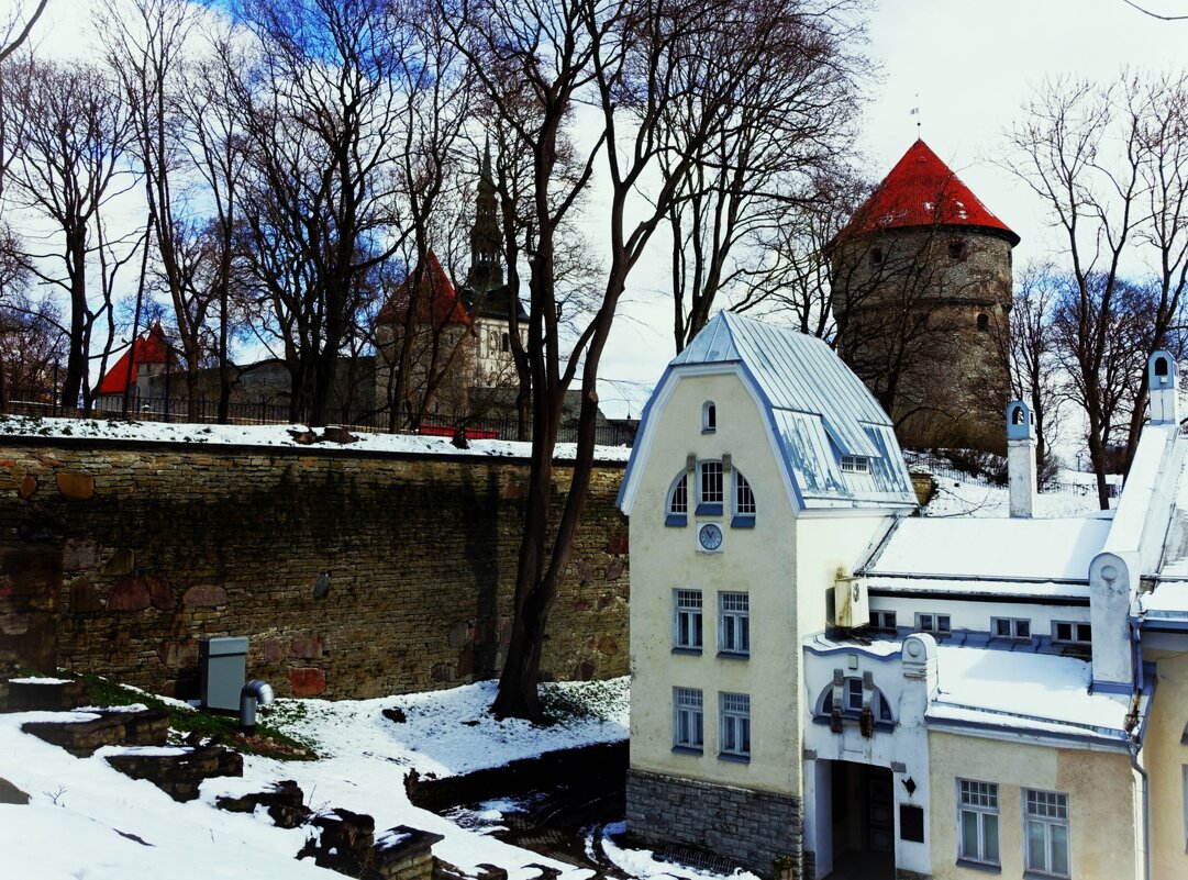 По дороге на Тоомпеа - Aida10 По дороге на Тоомпеа - Aida10