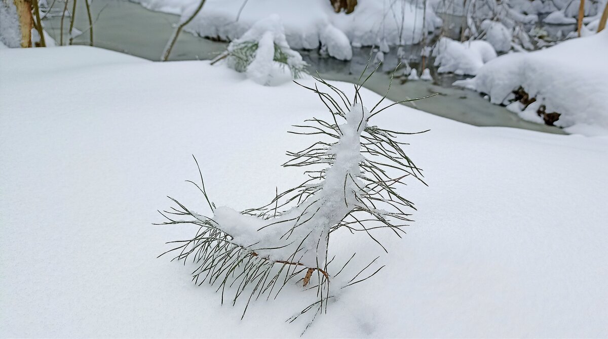 Зима вернулась - Татьяна Тюменка Зима вернулась - Татьяна Тюменка