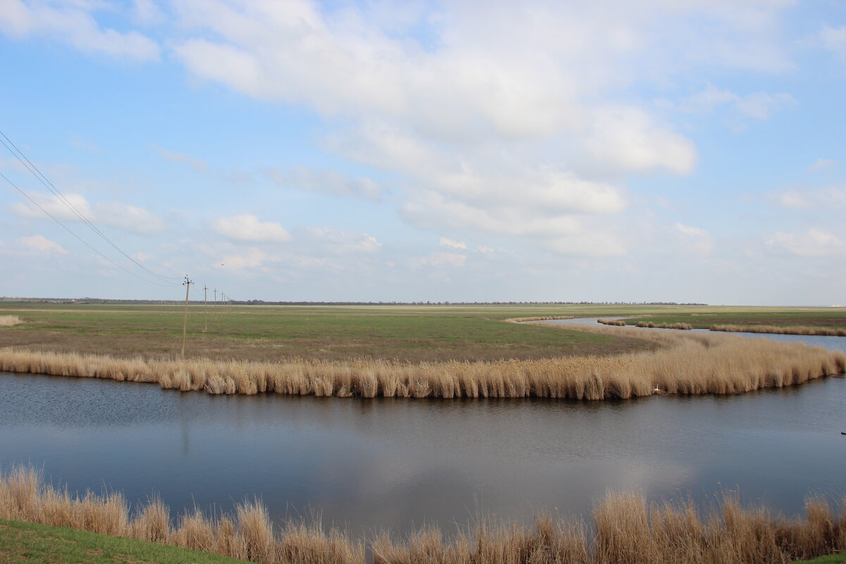 У реки. - Виктор 